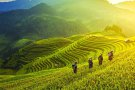 SÀI GÒN – HÀ NỘI – CAO NGUYÊN MỘC CHÂU 