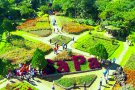 ĐÓN TUYẾT ĐẦU MÙA SAPA