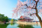 DU XUÂN CANH TÝ: KHÁM PHÁ HÀN QUỐC