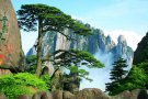 HOÀNG SƠN - ĐỒN KHÊ - THƯỢNG HẢI 5 NGÀY 4 ĐÊM