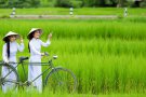 VỀ XỨ CỬU LONG: MỸ THO - BẾN TRE