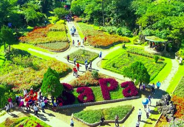 ĐÓN TUYẾT ĐẦU MÙA SAPA