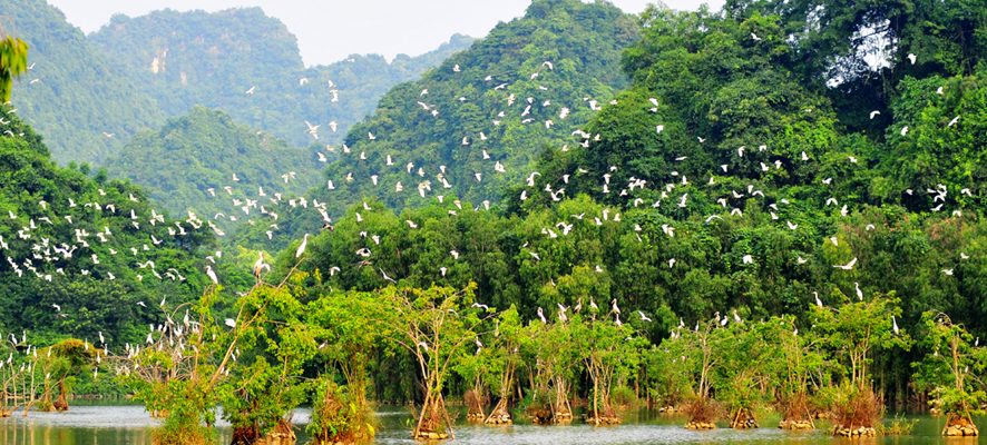 CÔNG TY TNHH DU LỊCH TRUNG TÍN