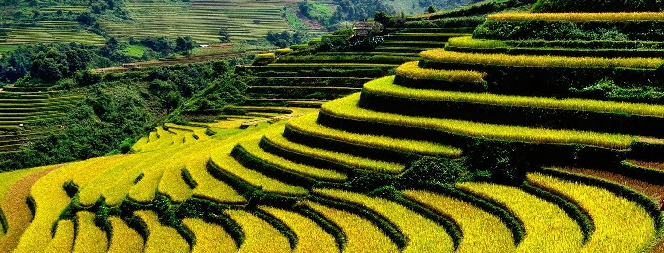 MỘC CHÂU - SƠN LA - ĐIỆN BIÊN - LAI CHÂU - SAPA - LÀO CAI