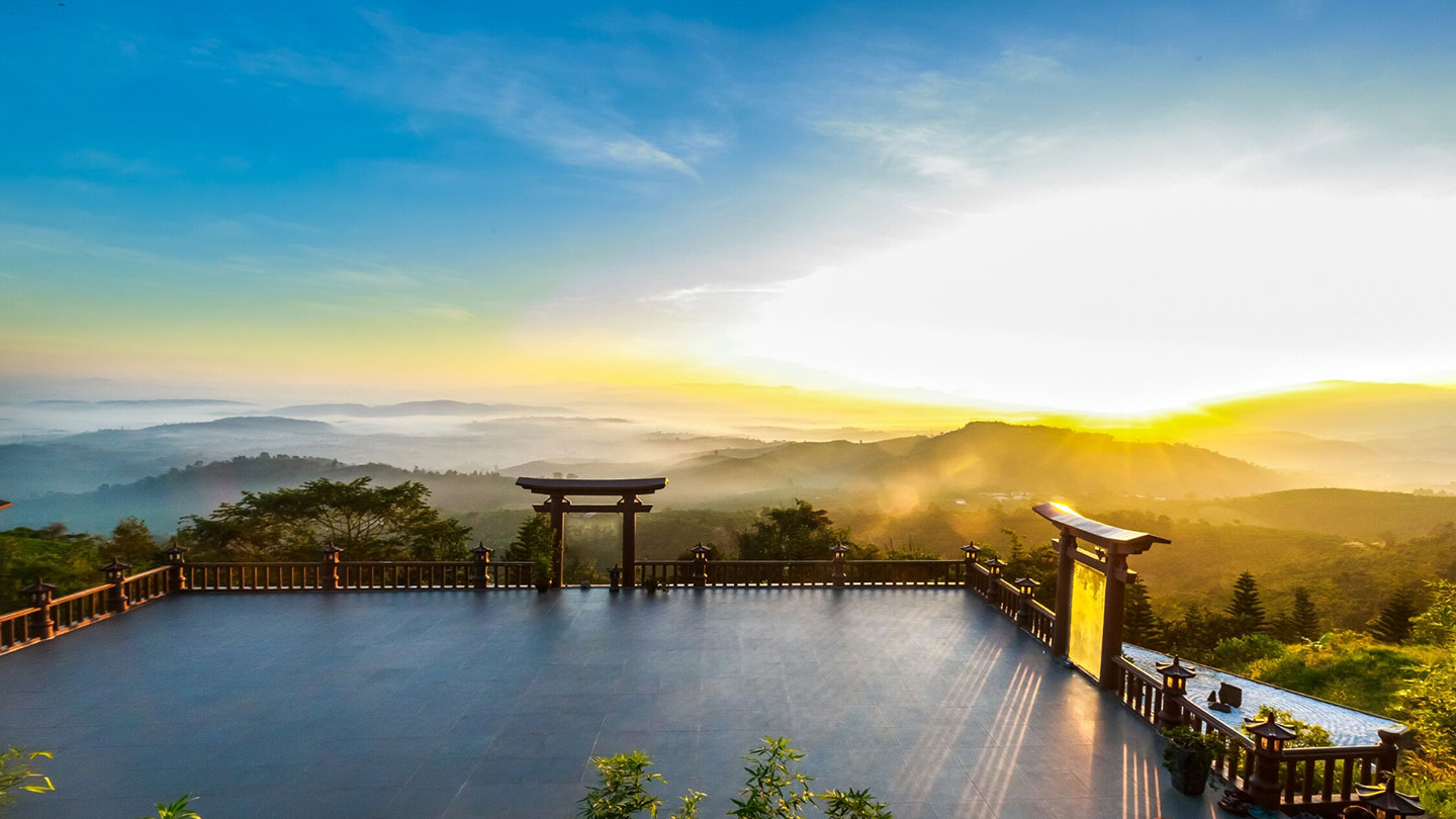 VƯỜN CẨM TÚ CẦU - HOA SƠN ĐIỀN TRANG - VƯỜN DÂU TÂY