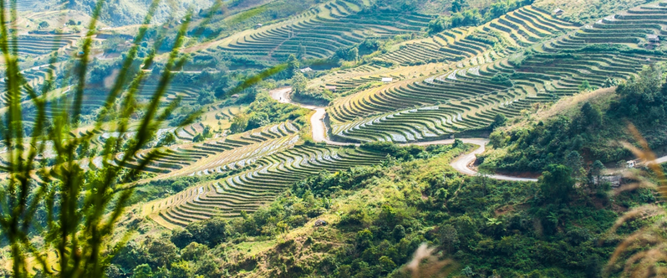 Tây Bắc