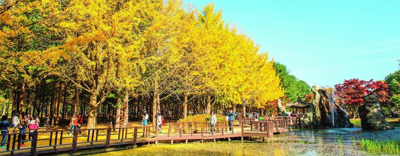 TOUR VI VU HÀN QUỐC
