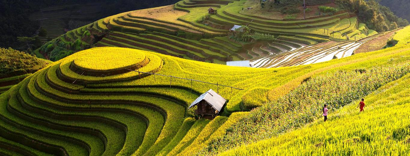 HÀ GIANG – MÙA TAM GIÁC MẠCH 